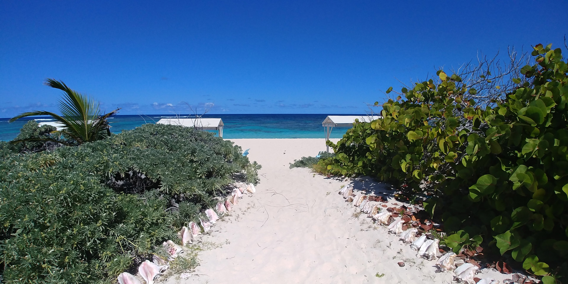 Anegada