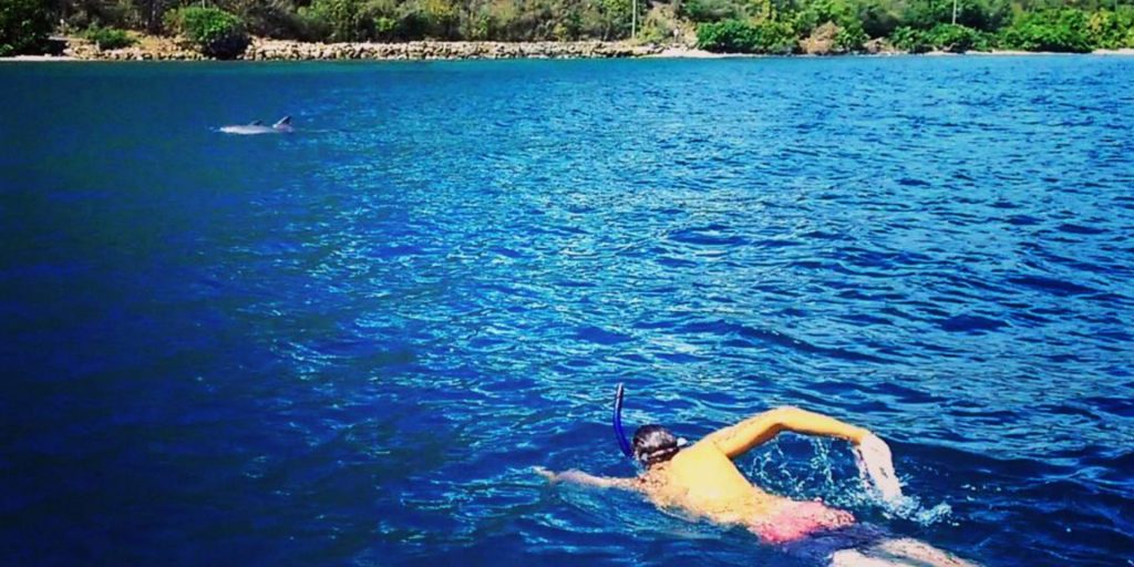 Snorkel