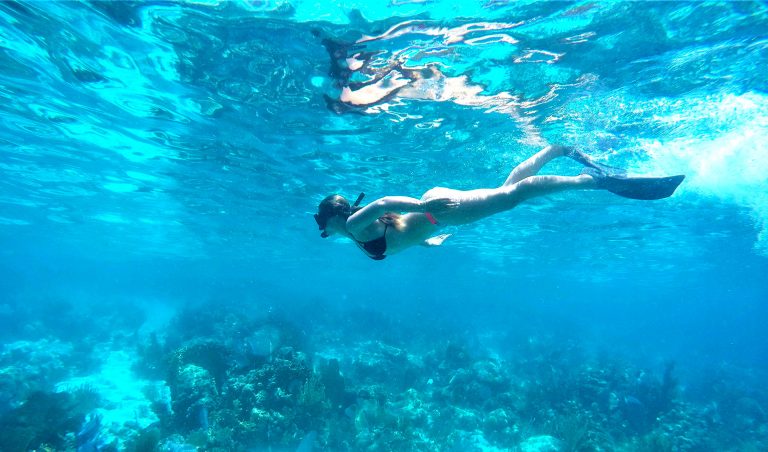 Scuba & Snorkeling