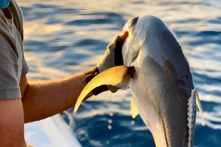 Fishing